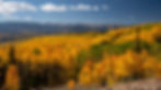 Golden Aspen Hillside and Mountain Range