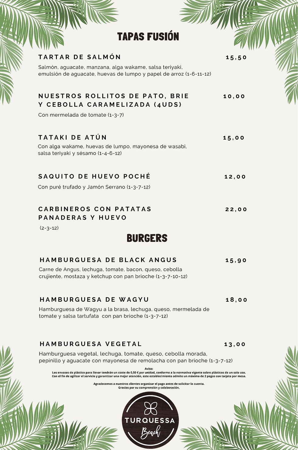 CARTA TURQUESSA (15).jpg