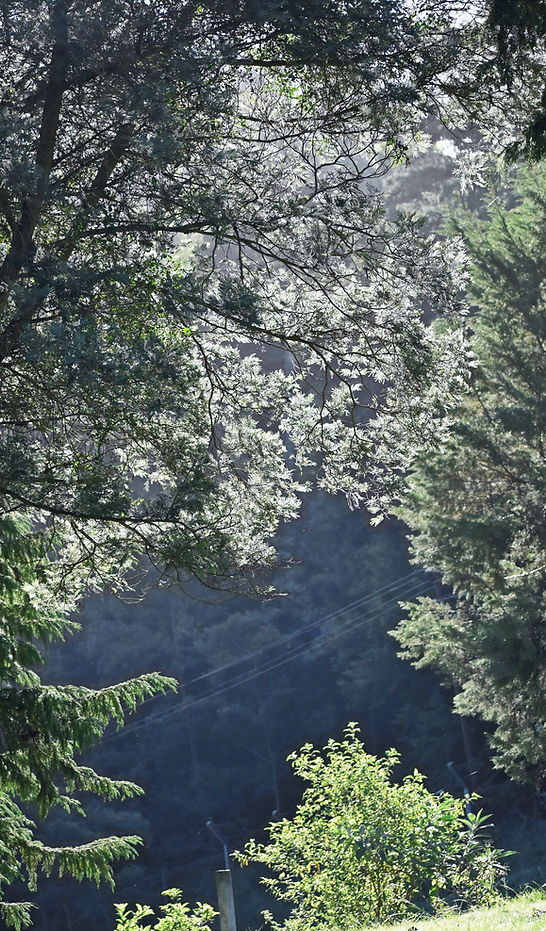 DSC_1082_edited.jpg