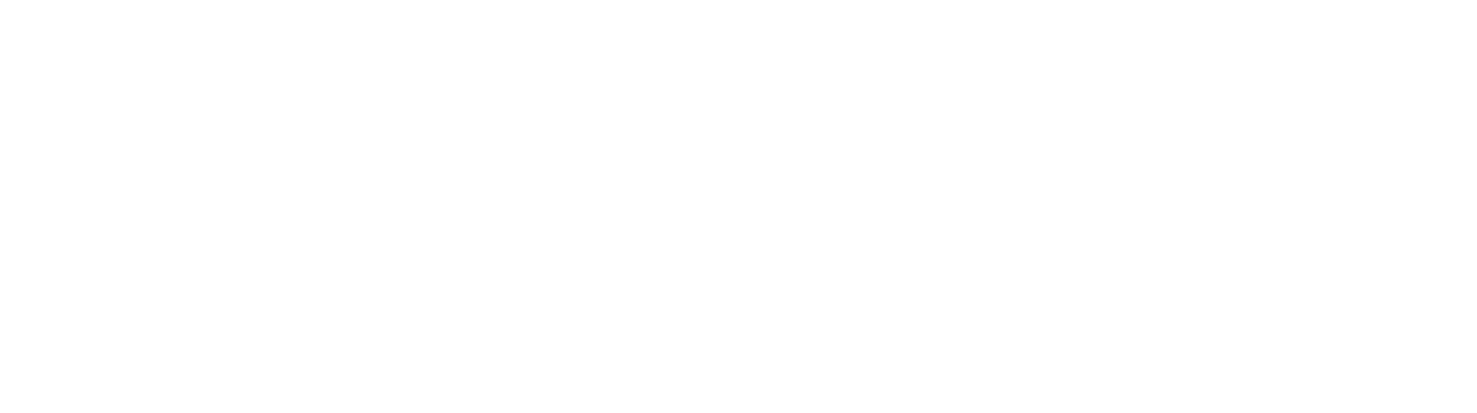 RENBOTS_LOGO_TEXT_WHITE_3000x840.png