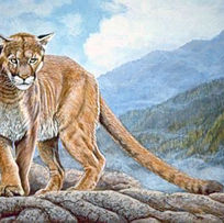 Misty Mountain Cougar, Acrylic on Masonite 16 x 24, SOLD.jpg