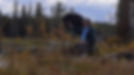 David in Algonquin Park _edited.jpg