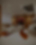 2 SOCIAL_edited.jpg