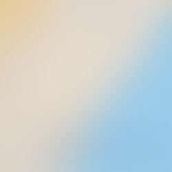 Mercado de Santa Caterina