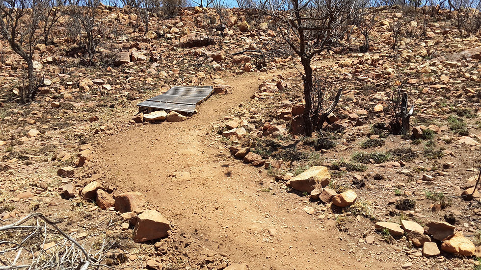 20131105_111716.jpg