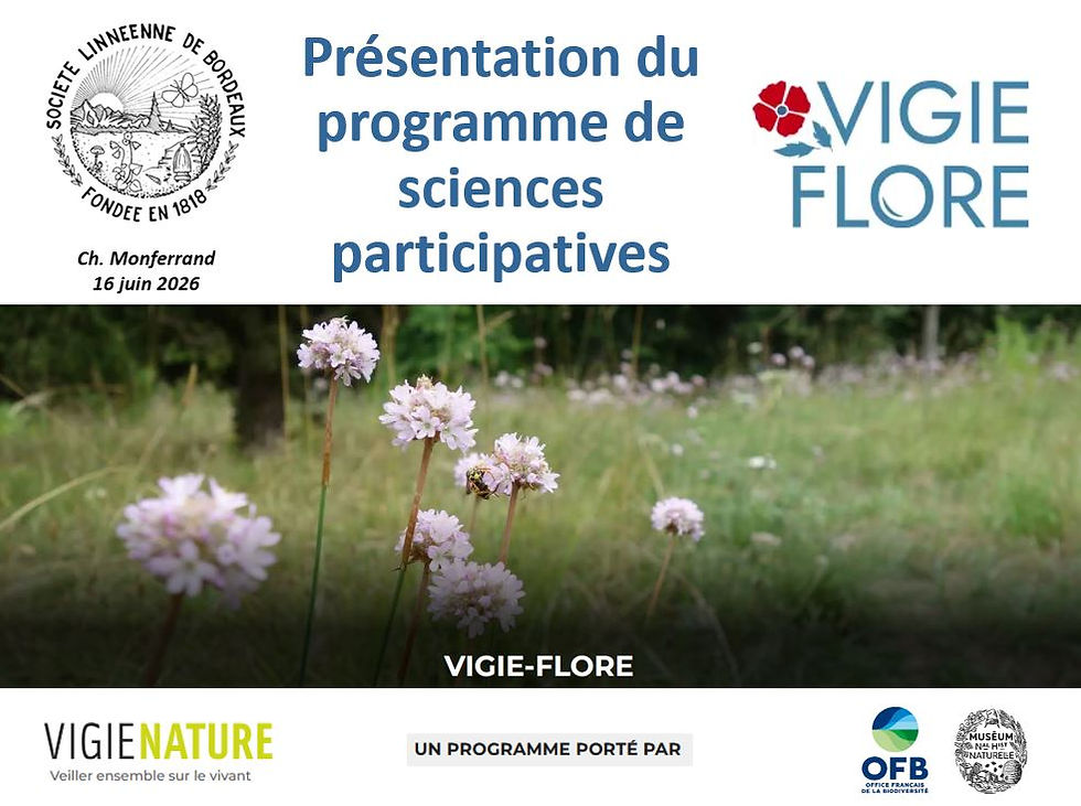 Affiche de présentation du programme de sciences participatives, fleurs champêtres, logos Vigie-Flore et Vigie Nature.