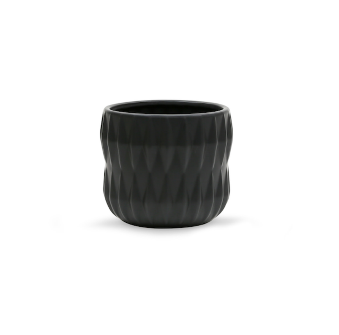 Noir Elegance Ribbed Ceramic Planter
