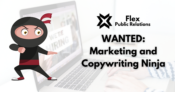 WANTED Marketing and Copywriting Ninja (2).png