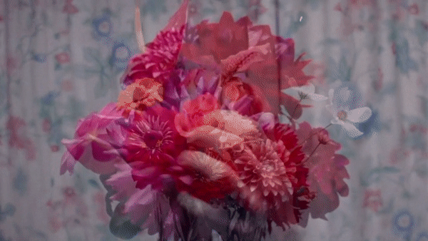 untitled image