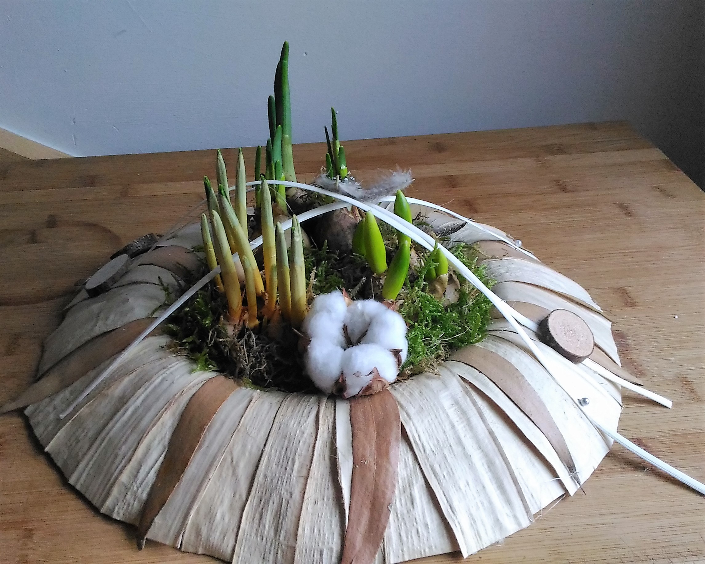 Jardin de bulbes