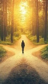 many pathways to choose from.jpg