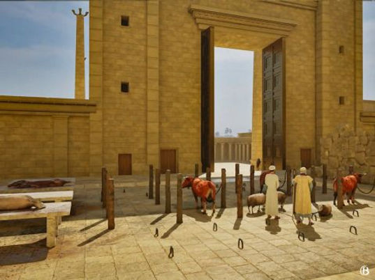 animals near slaughtering tables.jpg
