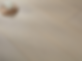 Pearl 2.png