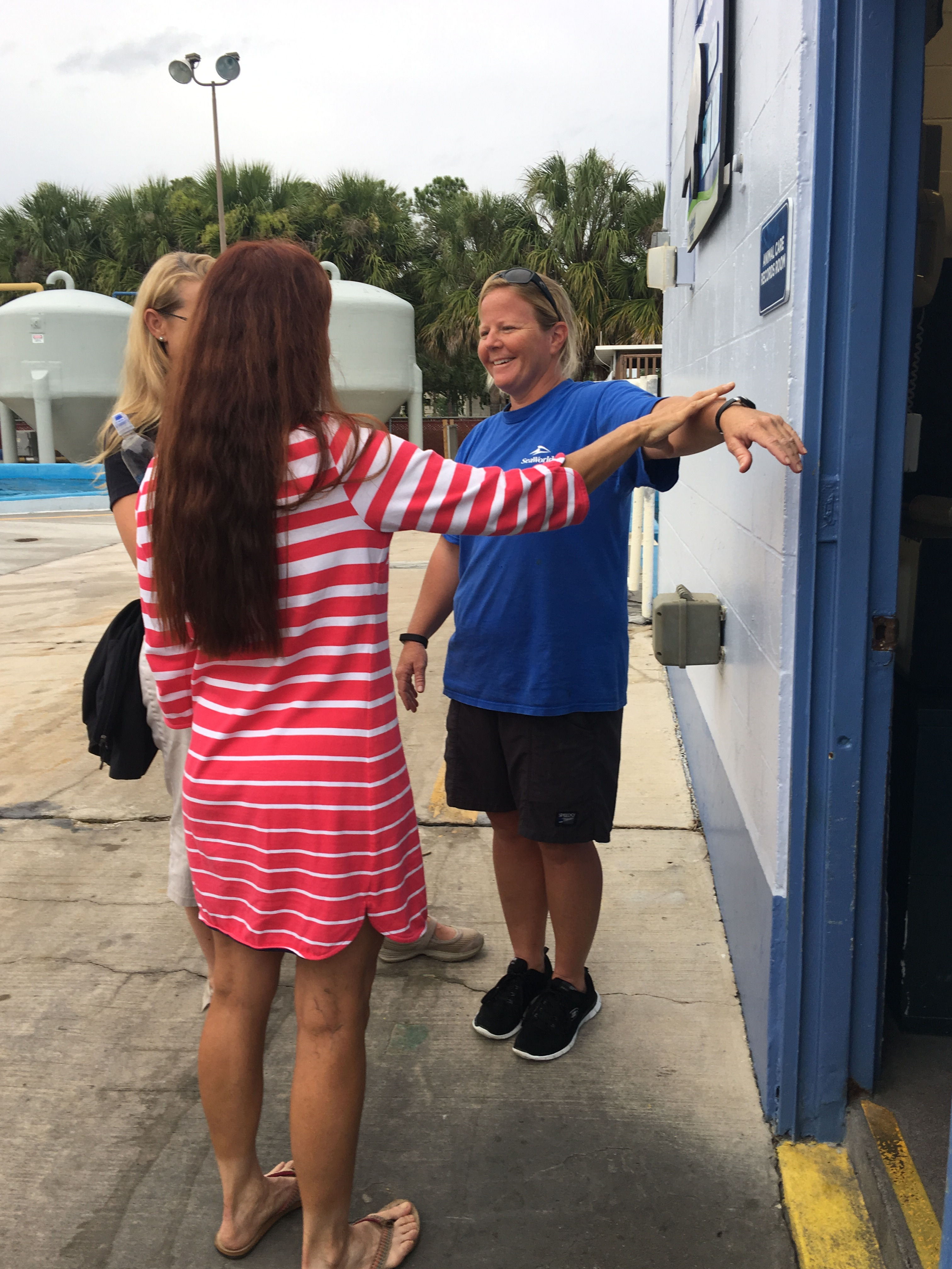 Applied Animal Kinesiology