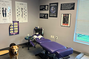 Adjustment Kairos Chiropractic.jpeg
