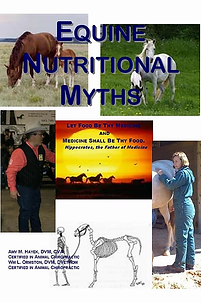 a84e9c_c96f6598bec444ab837a7f58e5e38130_