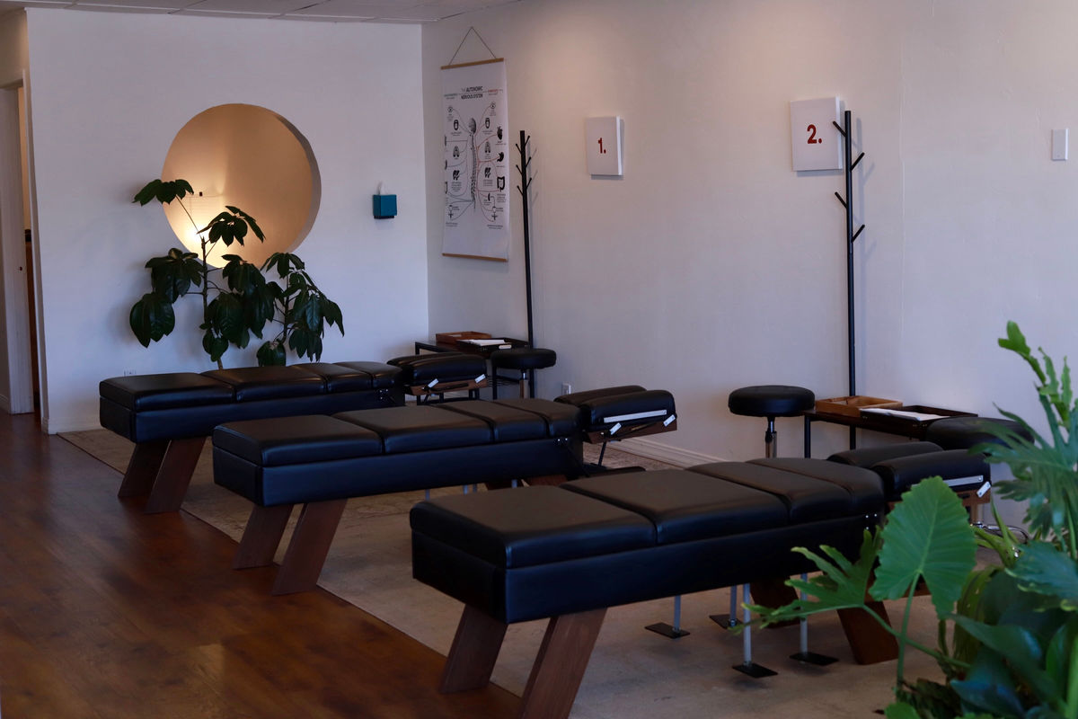 Root and Stem Chiropractic