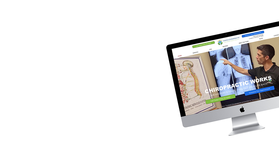 Chiropractic Website Pro