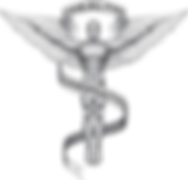 Chiro LOGO.png