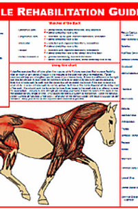 a84e9c_586c8ff42e6646a592869ac3d494f0d1_