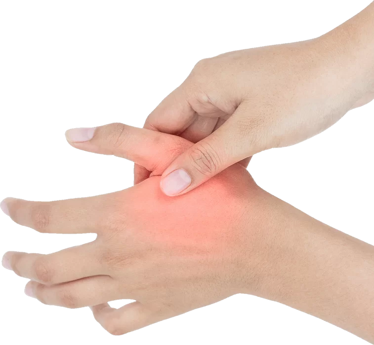 Chiropractor in Washington, PA