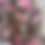 Thumbnail: 1989