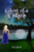 Ghost of a Chance preliminary cover art