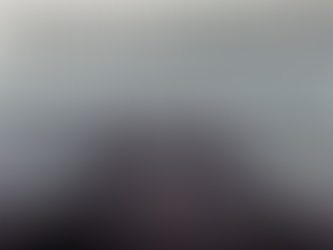 To Respectfully Dislike The Bridge To Equality