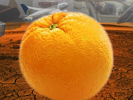 Lt. McMillan and The No-Good, Terrible, Very Bad Week.