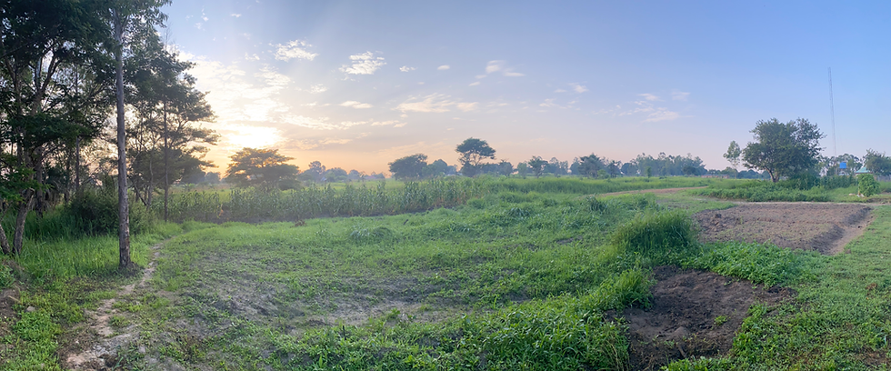 Tales from the African bush: My adventure in South Sudan