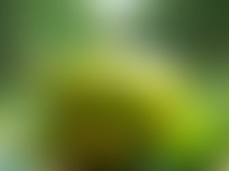 Psalm 17:8 – Knowing God's Closeness Quiets Fear