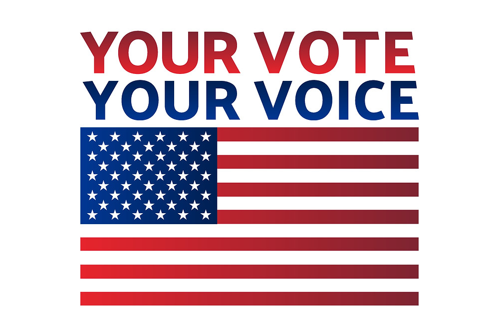 Your Vote Your Voice