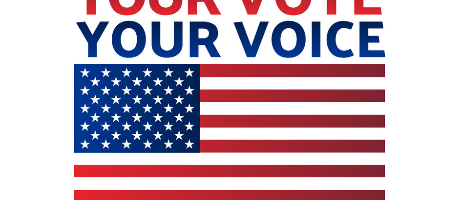 Your Vote Your Voice