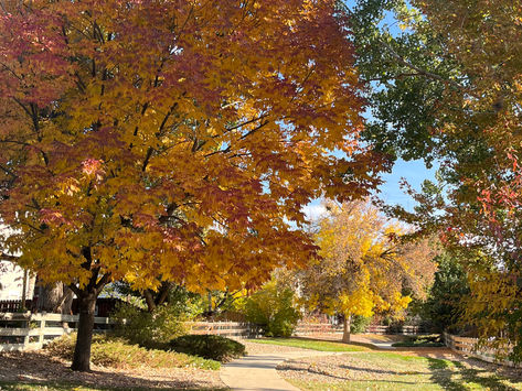 Happy Fall