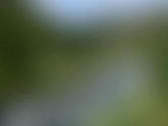 Going on a Family Hike