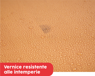Vernice resistente