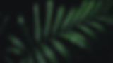 Image Website Nusavita Natura.png