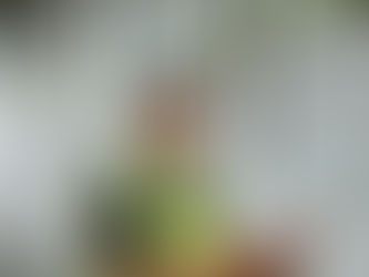 Precast Panel Dinding: Solusi Praktis untuk Rumah, Apartemen, Villa, dan Pabrik