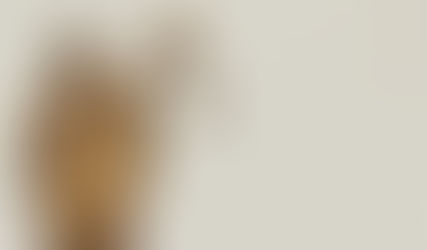 מאמר חדש: "נאמנות עיוורת" ככלי למניעת ניגוד עניינים