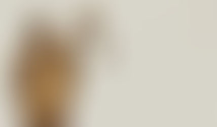 מאמר חדש: "נאמנות עיוורת" ככלי למניעת ניגוד עניינים