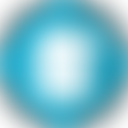 סקר: נאמנות בצוואה לטובת מי שאינו כשיר משפטית