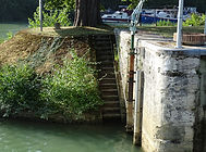 DSC00896.JPG