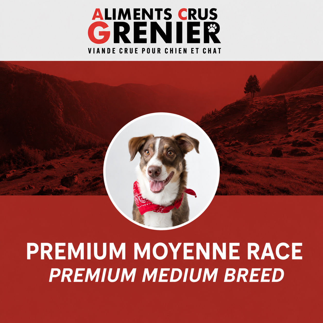 Aliments crue Grenier - Premium moyenne race 12 LB