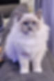 20241026_201053.jpeg
