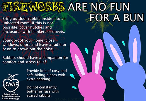 Fireworks are no fun for a bun