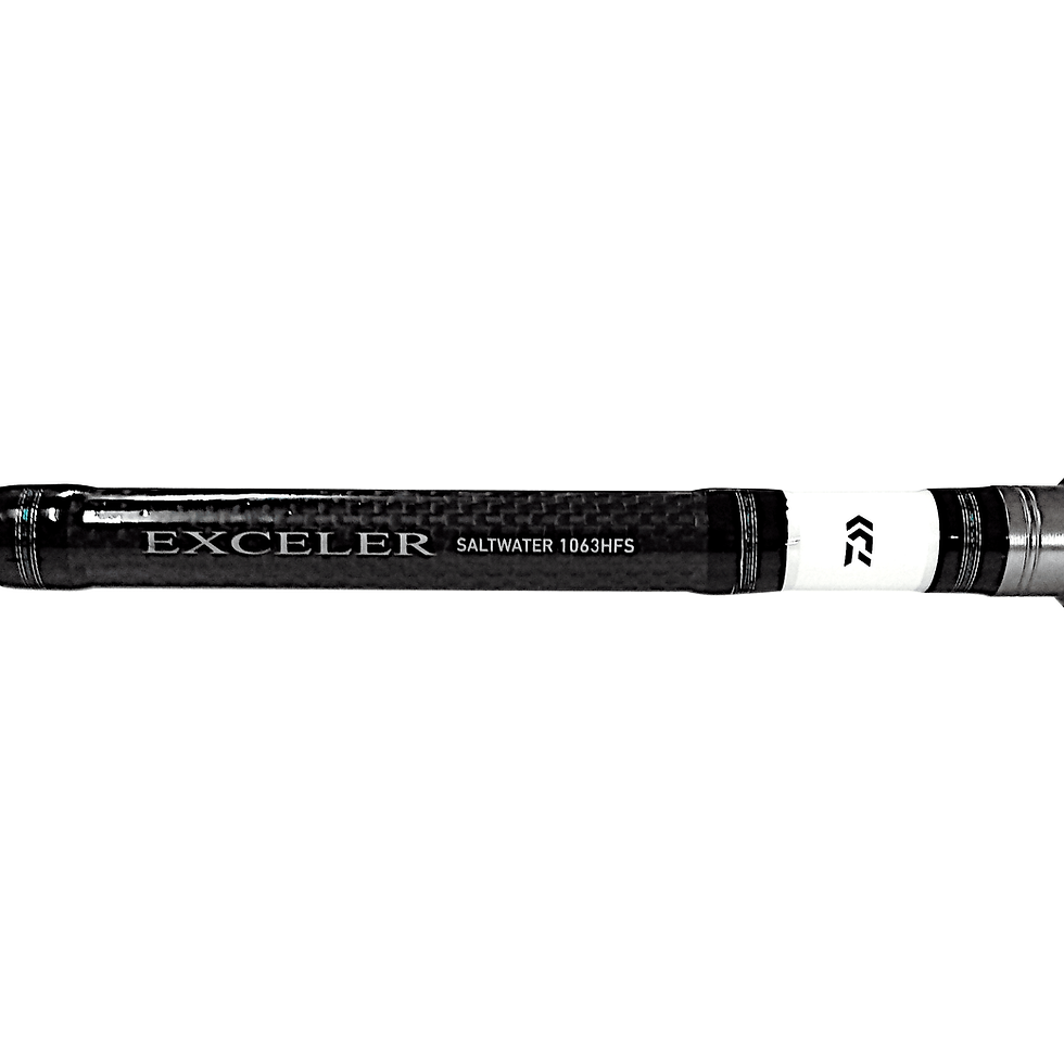 Thumbnail: Daiwa Exceler Saltwater Rod