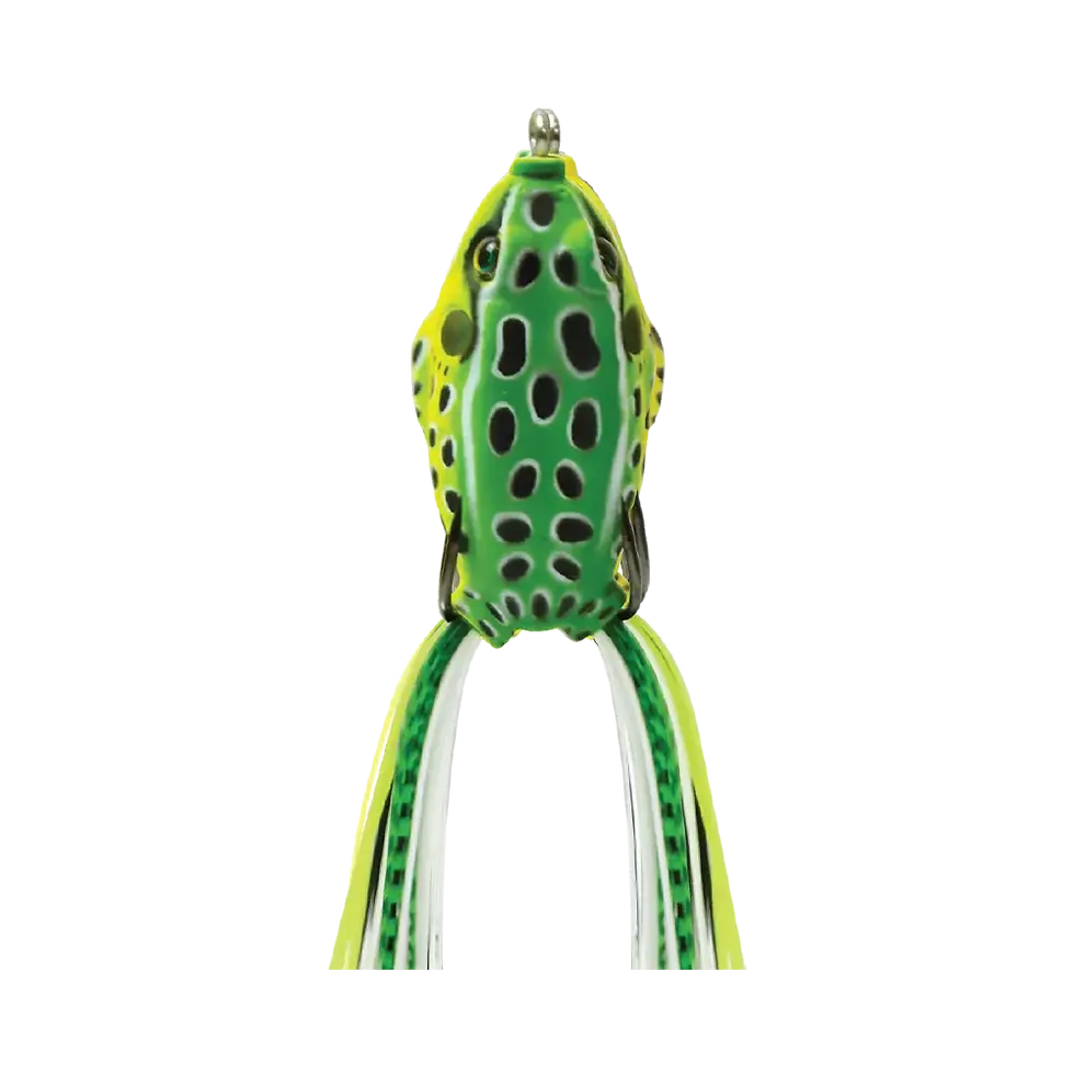 Sensation Hollow Frog: Bullfrog