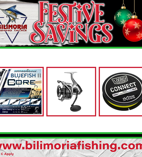 ブルーフィッシュBluefish Bluefish Fly Fishing - Saltwater on the Fly