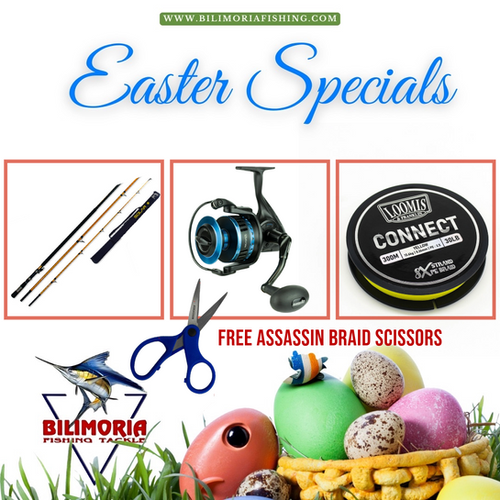 Easter Savings: Assassin Solar & Okuma Azores XP & 600m Connect