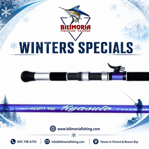 Winter Specials: Hearty Rise Kyasuto 15ft | Bilimoria Fishing
